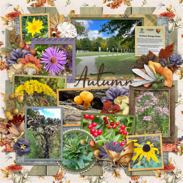 Splendid Autumn right side