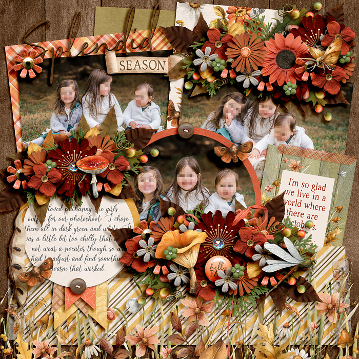 Splendid season