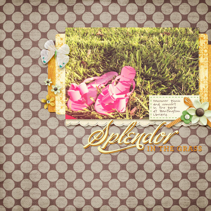splendor in the grass