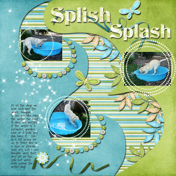 Splish Splash