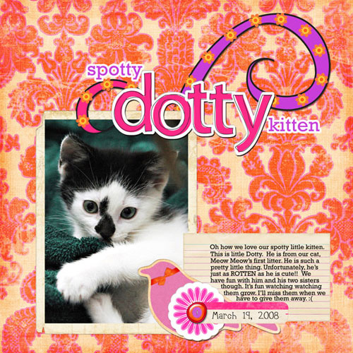 Spotty Dotty Kitten