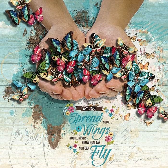 Spread your wings,you can fly