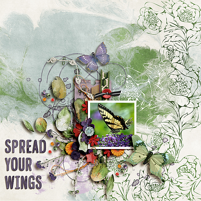 Spread Your Wings