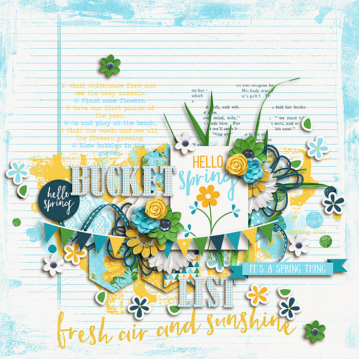 Spring 2016 Bucket List
