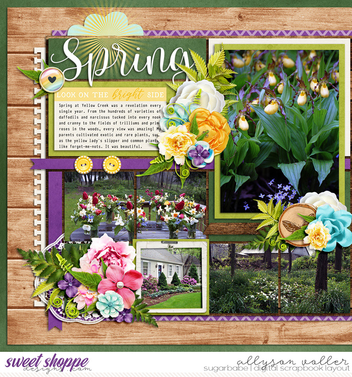 Spring at 3557 left