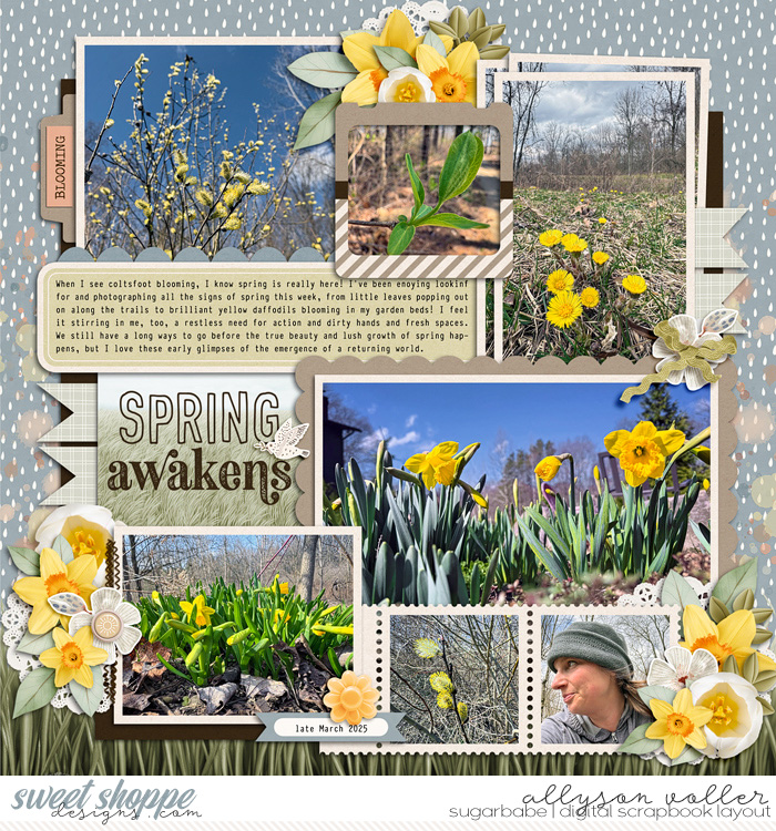 Spring Awakens
