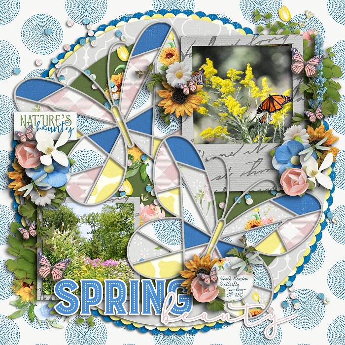 Spring Beauty