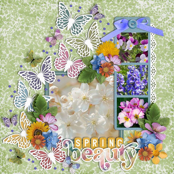 Spring Beauty