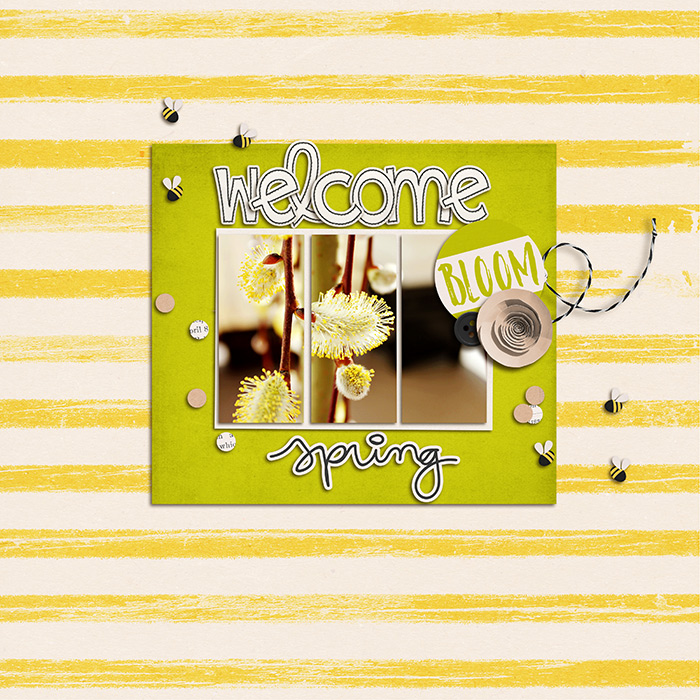 Spring Beginnings