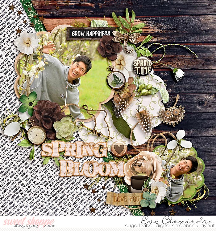 spring bloom