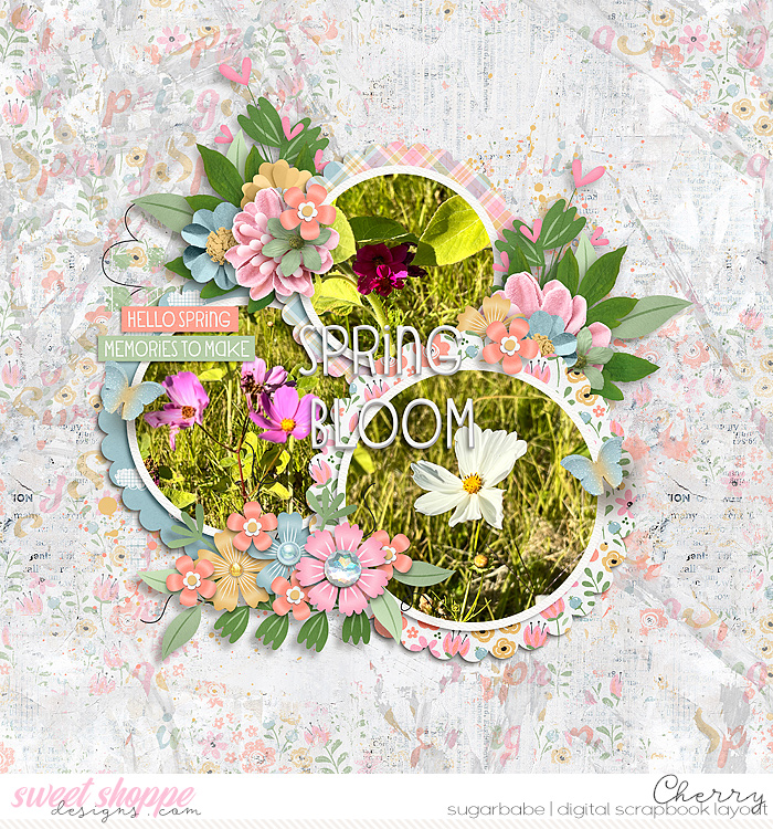 Spring Bloom