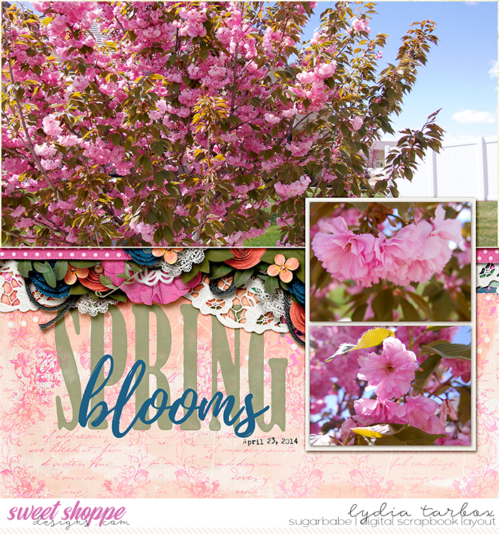 Spring Blooms