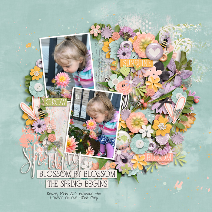 Spring Blooms