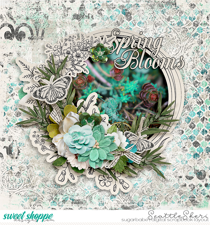 Spring Blooms