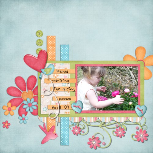 Spring Blooms