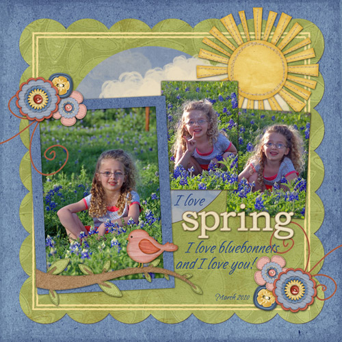 Spring Bluebonnets