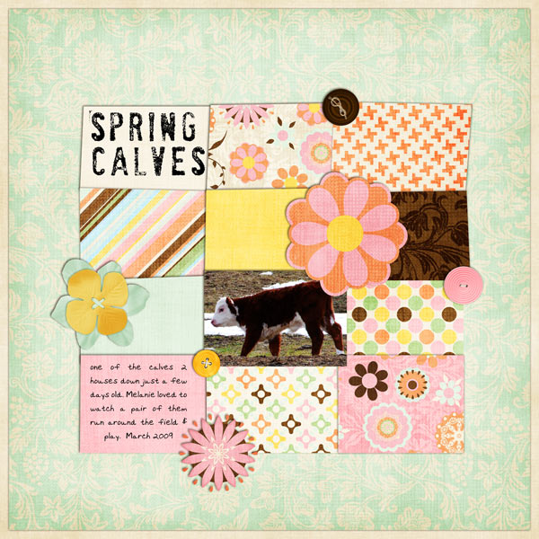 Spring Calves