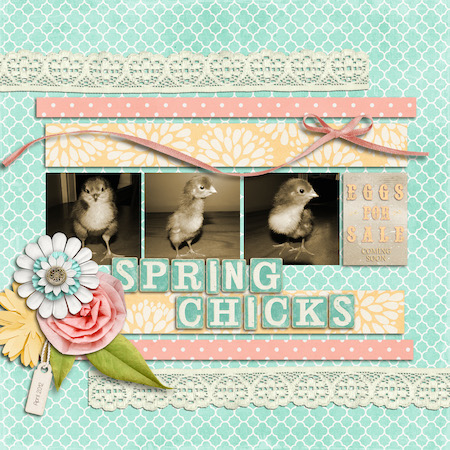 Spring Chicks