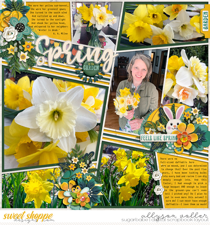 Spring Daffodils