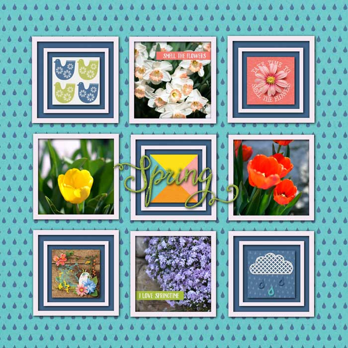 Spring Flowers