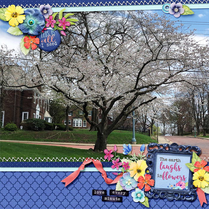 Spring Flowers