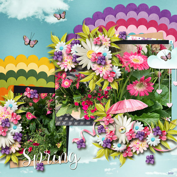 Spring Flowers