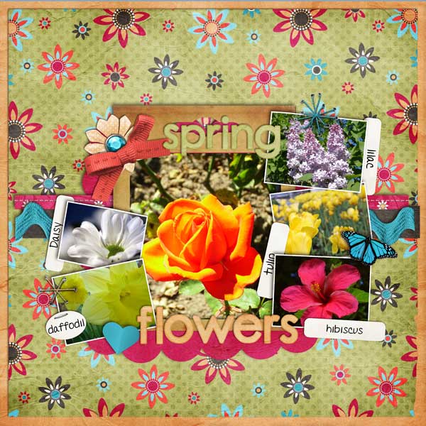 Spring Flowers