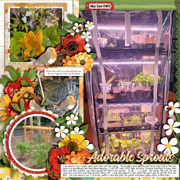 Spring Garden 2025 pg1