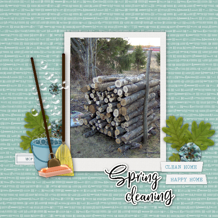Spring garden cleaning
