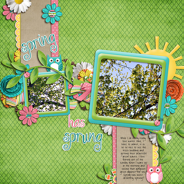 Spring Has Sprung