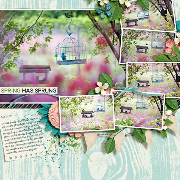 Spring Has Sprung