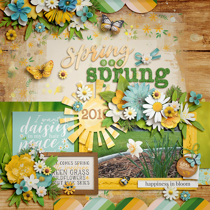 Spring has Sprung