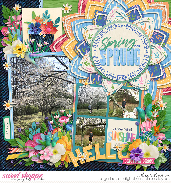 Spring Has Sprung