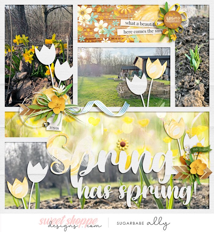 Spring Has Sprung