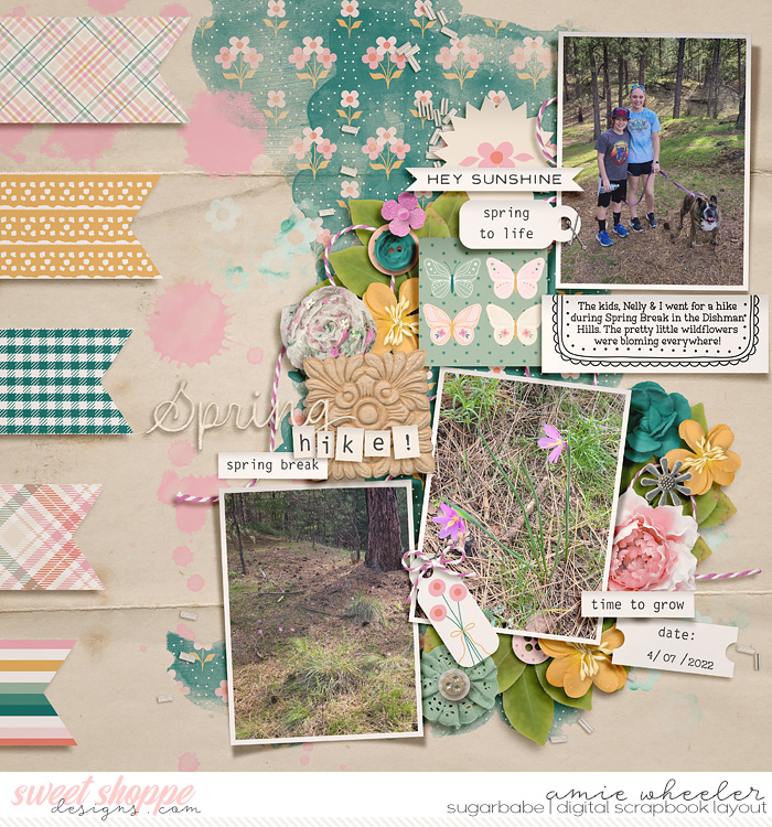 Spring Hike