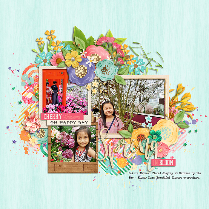 Spring In Bloom