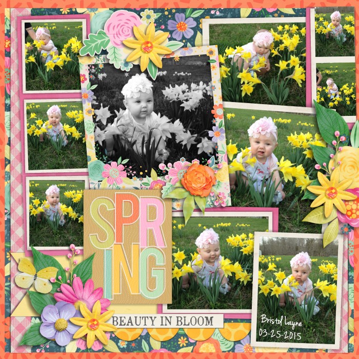 Spring In Bloom
