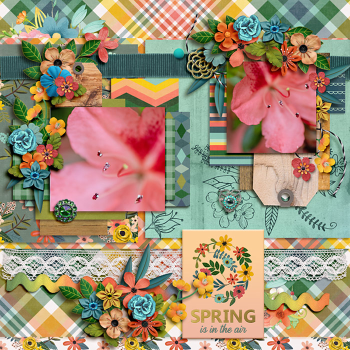 Spring Is In The Air