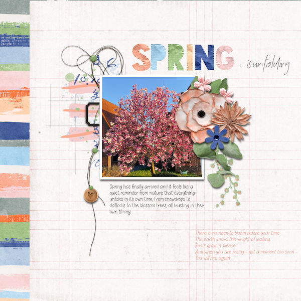 Spring is Unfolding