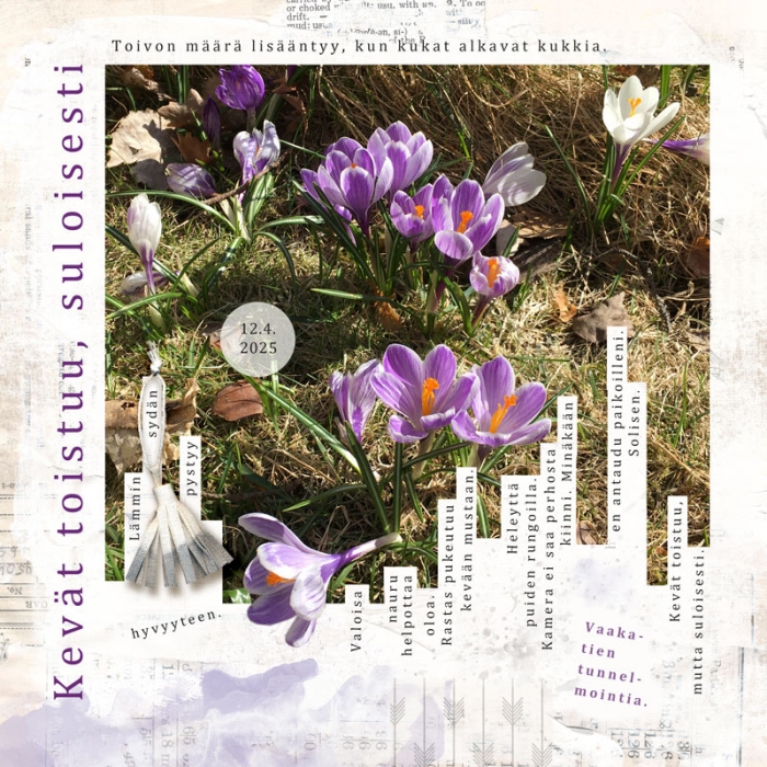 Spring Layout for iSDN 2025 Challenge