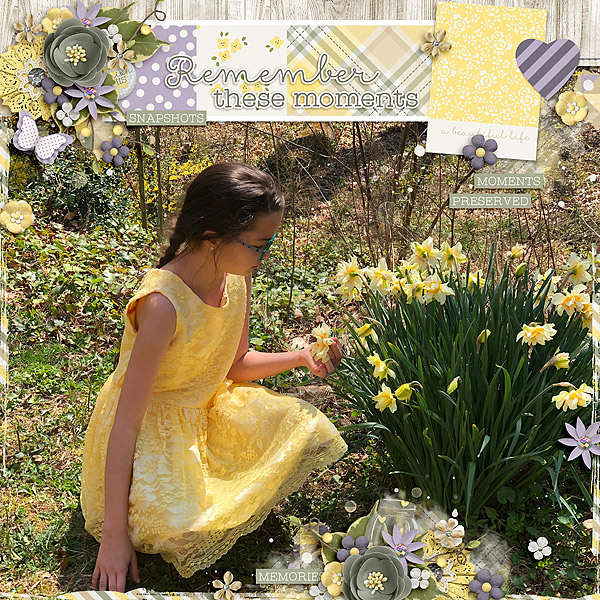 Spring Moments