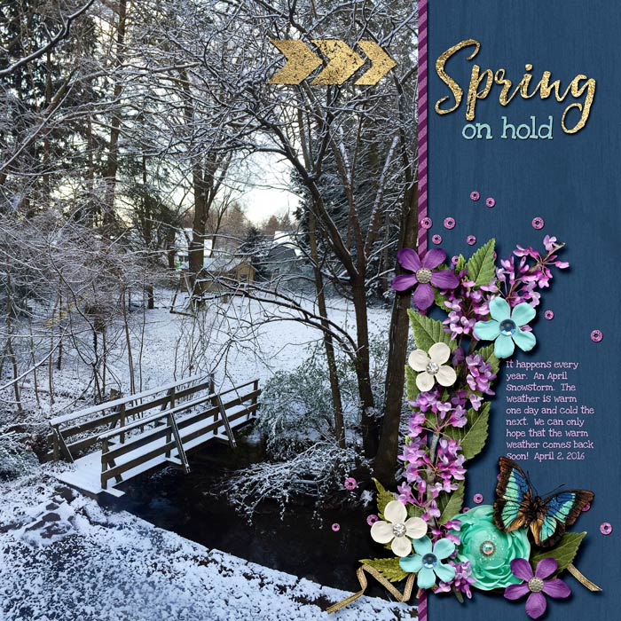Spring on Hold Bingo 12