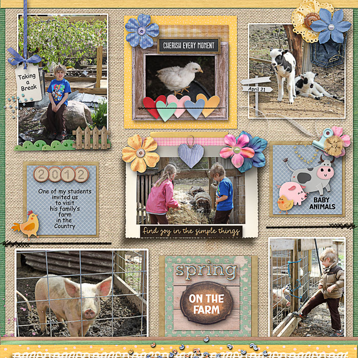 Spring  on the Farm  New Baby Animals