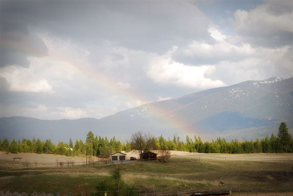 Spring Rainbow