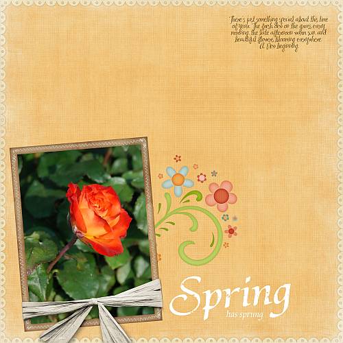 Spring Rose 2008