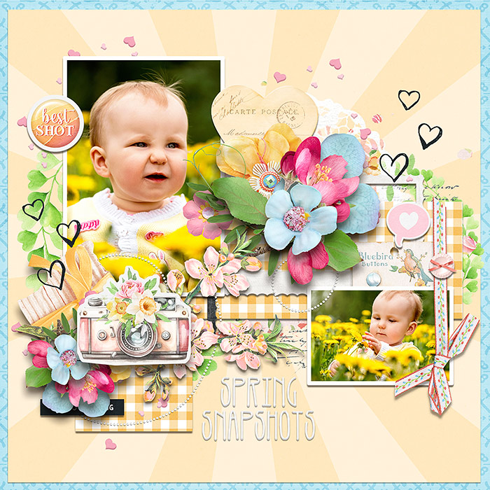 Spring Snapshots