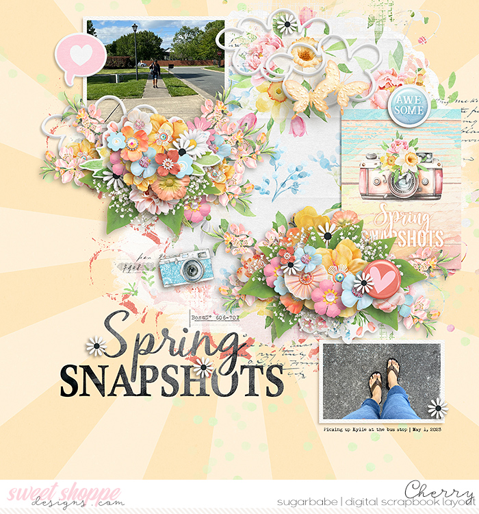 Spring Snapshots