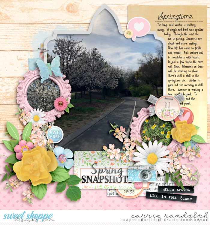Spring Snapshots