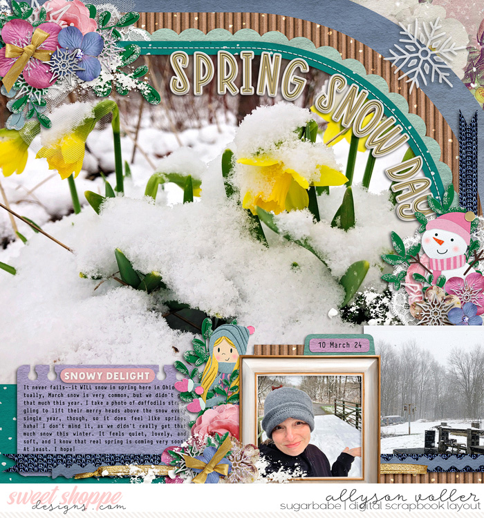 Spring Snow Day