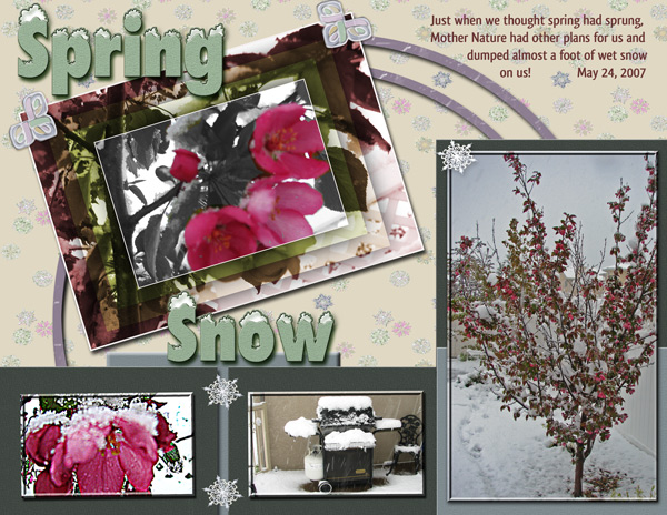 Spring Snow